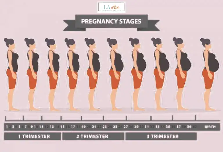 First Trimester (Weeks 1–12): Early Changes You Might Not Notice Ashford